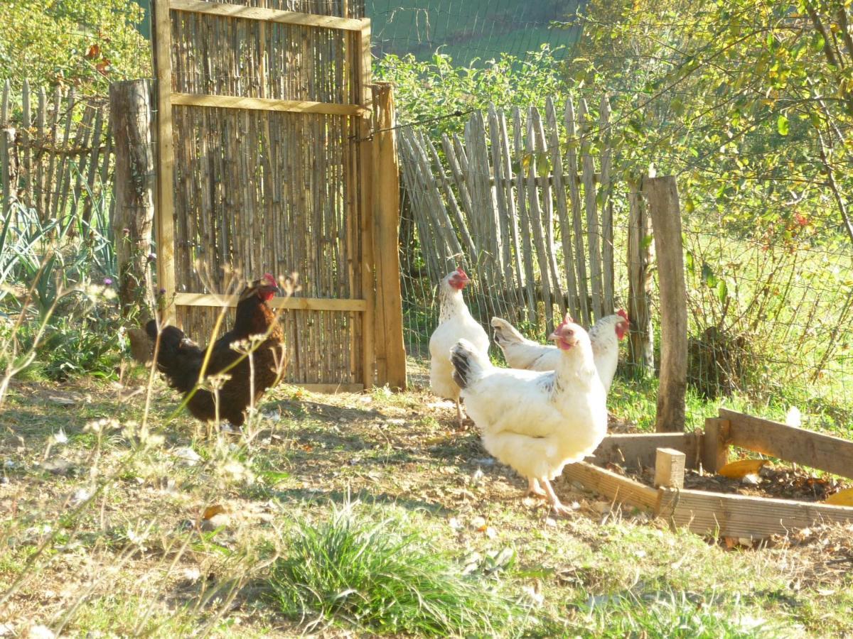 Les Granges De La Hulotte, La Hulotte Βίλα Lies Εξωτερικό φωτογραφία